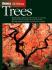 All About Trees