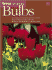 Ortho's All About Bulbs (Ortho's All About Gardening)