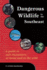 Dangerous Wildlife in the Southeast: a Guide to Safe Encounters at Home and in the Wild