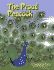 The Proud Peacock (Jataka Tales)