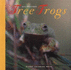 Tree Frogs (Let's Investigate)