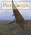 When Dinosaurs Lived: Pterodactyl