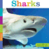 Seedlings: Sharks
