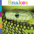 Seedlings: Snakes