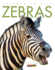 Amazing Animals: Zebras