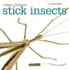 Stick Insects