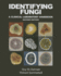 Identifying Fungi