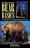 Backcountry Bear Basics: the Definitive Guide to Avoiding Unpleasant Encounters