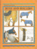 Rugs and Rollers (Threshold Picture Guide)