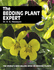 The Bedding Plant Expert (Expert Books)