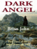 Dark Angel ( Part 3 of the Angel Mountain Saga)
