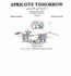 Apricots Tomorrow and Other Arabic Sayings With English Equivalents
