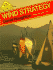 Wind Strategy (Sail to Win)