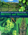 Pruning and Training: Monographs in Cool Climate 1