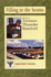 Filling in the Seams: the Story of Trenton Thunder Baseball