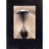 The Somnambulist