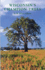 Wisconsin's Champion Trees: a Tree Hunter's Guide