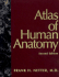 Atlas of Human Anatomy