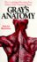 Gray's Anatomy
