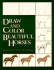 Draw and Color Beautiful Horses