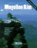 Arizona's Mogollon Rim