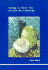 Getting to Know You (Studies in Jungian Psychology By Jungian Analysts, 55)
