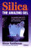 Silica: the Amazing Gel: an Essential Mineral for Radiant Health Recovery and Rejuvenation (Kaufmann Foods)