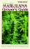 Marijuana Growers Guide: 1990 Edition