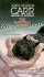 The Sleeping Sphinx