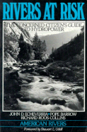 Rivers at Risk