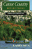 Canoe Country Reflections (Reflections of the Wilderness)