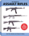 The World's Assault Rifles