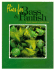 Flies for Bass and Panfish