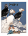 Seabirds (Zoobooks Series)