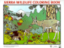 Sierra Wildlife Coloring Book