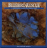 Bluebird Rescue: Country Life Nature Guide (Harrowsmith Country Life Nature Guide)