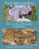 The Complicated Roof-a Cut and Stack Workbook