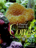A Practical Guide to Corals for the Reef Aquarium