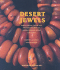 Desert Jewels: North African Jewelry and Photography From the Xavier Guerrand-Herm�s Collection