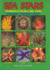 Sea Stars: Echinoderms of the Asia/Indo-Pacific