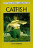 Catfish (Successful Fishing)