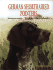 German Shorthaired Pointers Today (Book of the Breed S)