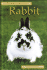 Pet Owner's Guide to Rabbits