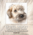 Kennel Design: the Essential Guide to Creating Your Perfect Kennels