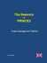 The Essence of Prince2