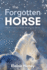 The Forgotten Horse-Book 1 in the Connemara Horse Adventure Series for Kids. the Perfect Gift for Children Age 8-12. (Connemara Adventures)