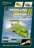 Modelling the 21st Century: V. 1