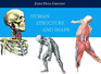 Human Structure and Shape