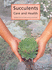 Succulents Care and Health