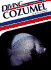 Diving Cozumel